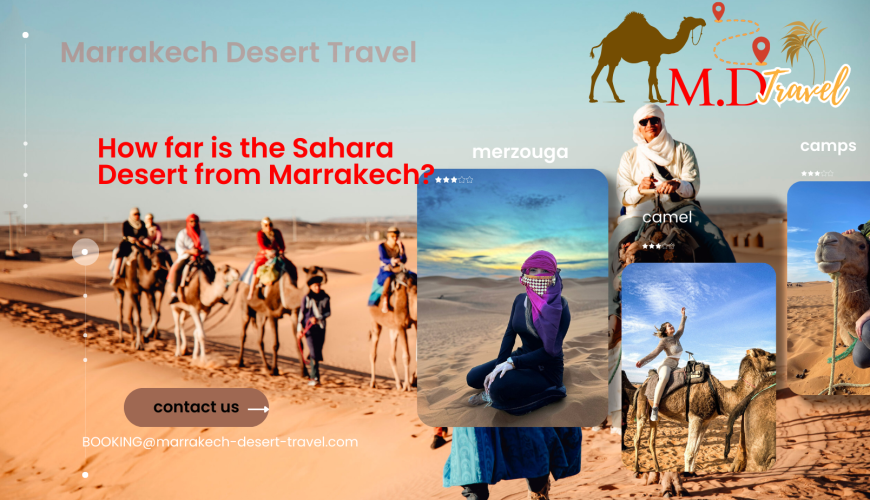 Marrakech Travel Agency