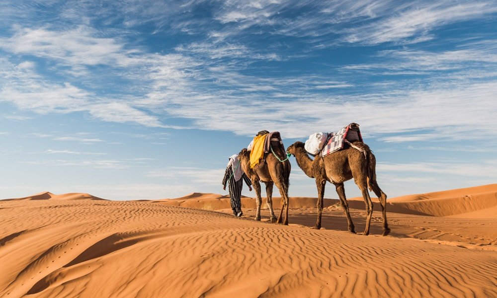 Marrakech Travel Agency