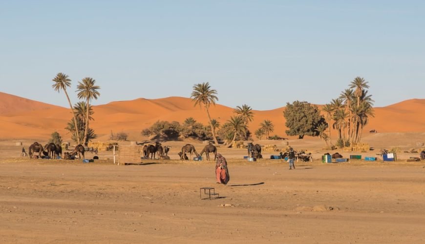 Marrakech Travel Agency