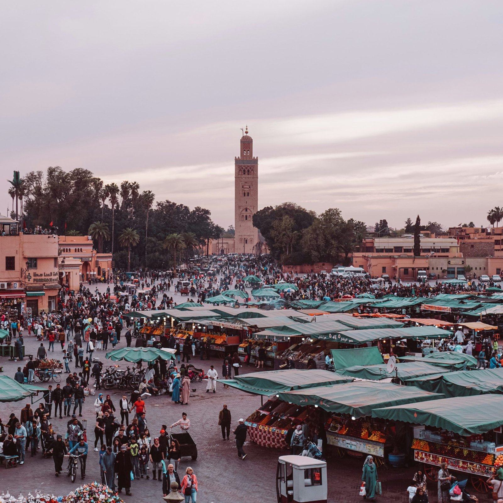 Jour 1 : Arrivée à Marrakech, Dîner à la Villa des Orangers