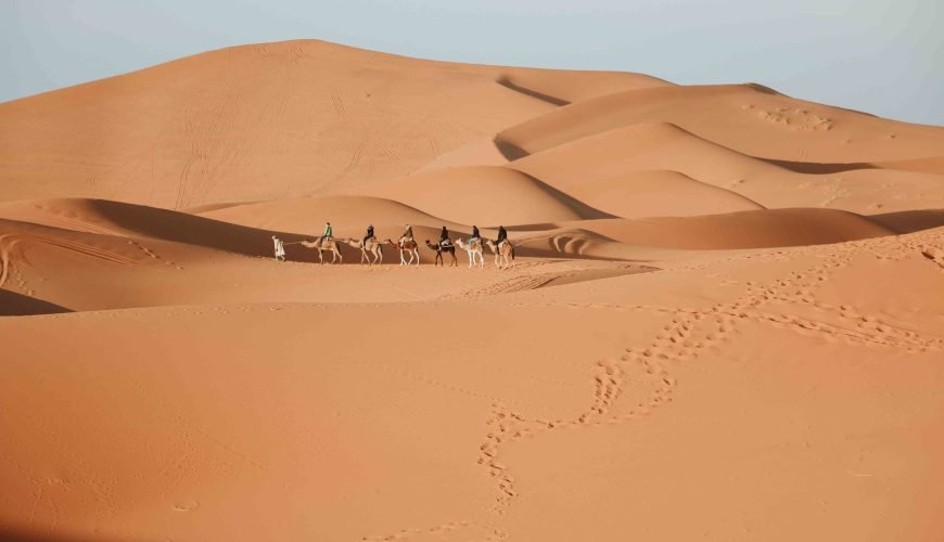 Marrakech Travel Agency