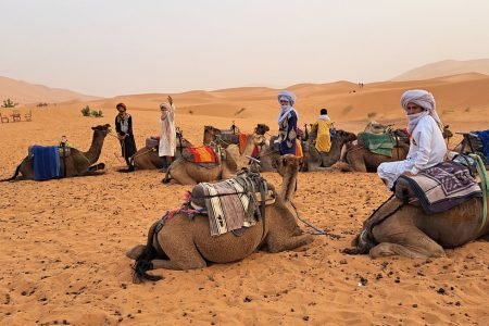 Marrakech Travel Agency